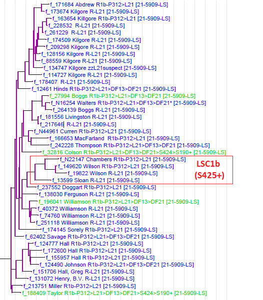 Tree Diagram