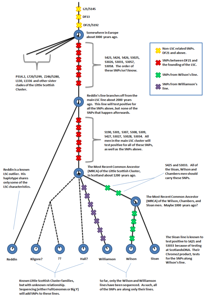 SNP Diagram